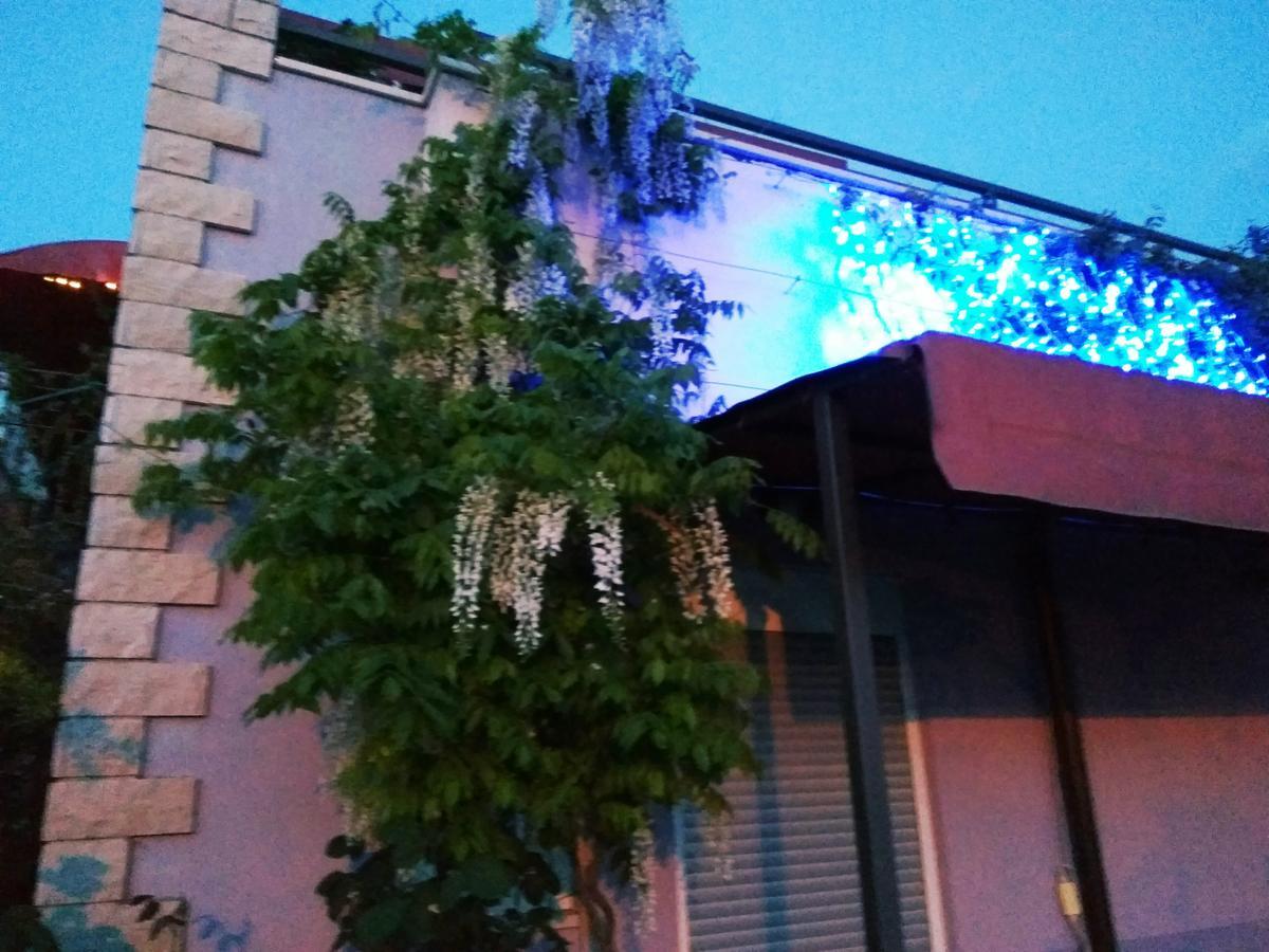 Aparthotel Viola Пьешчана-Увала Экстерьер фото